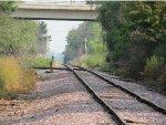 Michigan Ave. Crossing over CN Railroad looking North